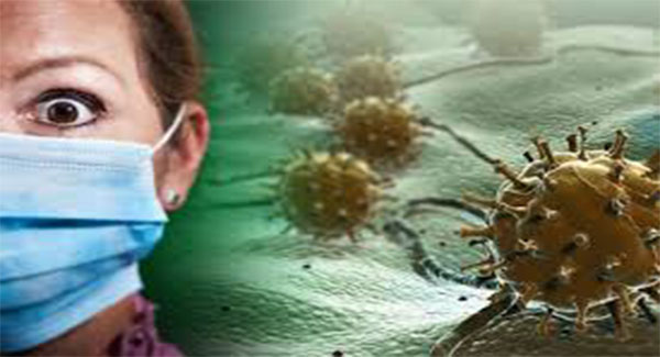 New reveal of Covid 19 virus…