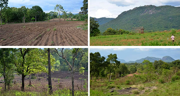 Illegal land grabbing in Uva Wellassa!
