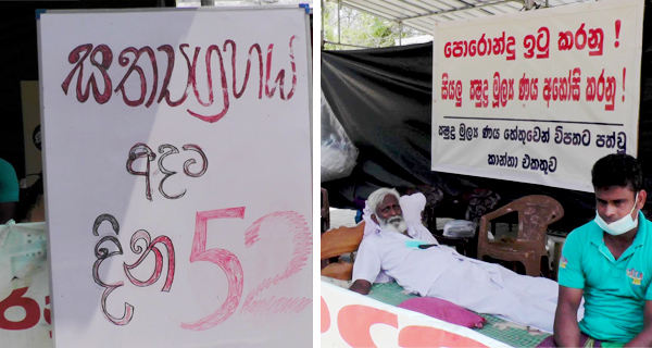 50 days for microfinance protest.