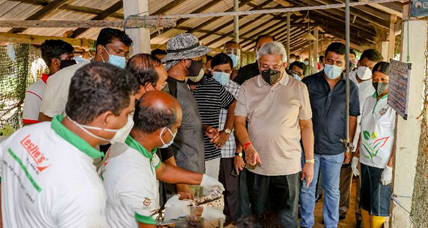 Plantation owners get chemical fertilizer while farmers are agitating for fertilizer