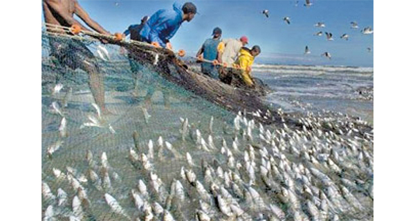Fisheries Act to be amended