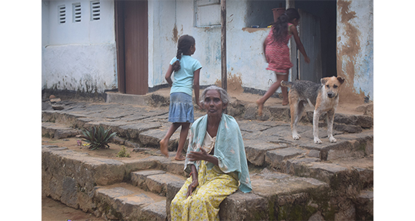 Is there no help from the estate management for the plantation workers who have no shelter?