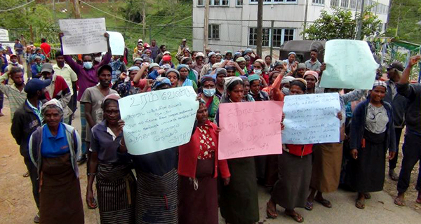 Protests erupt in plantation  sector due to hunger