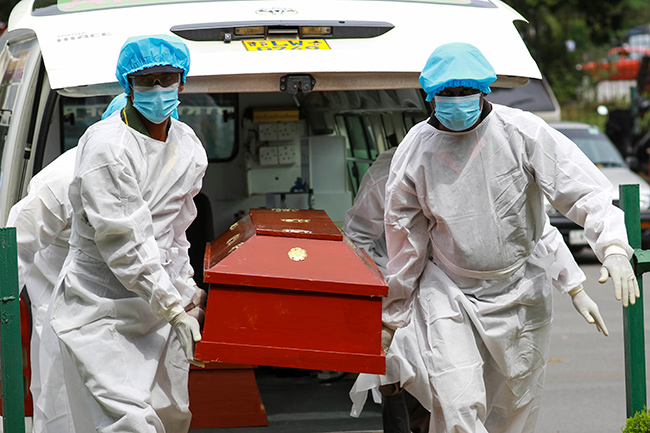 Lowest daily COVID-19 deaths reported after one year