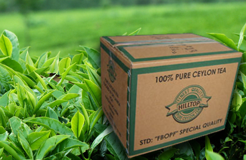 Sri Lanka suspends tea exports to Russia and Ukraine