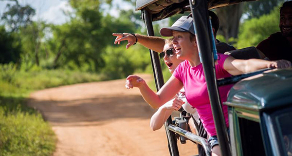 Will the Tourism Industry Collapse?