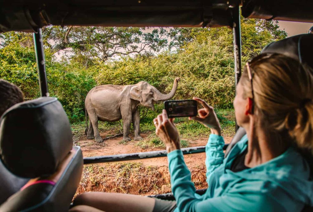 Entry of private vehicles into national parks is suspended