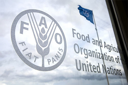 According to FAO 6.2 mn Lankans facing acute food insecurity