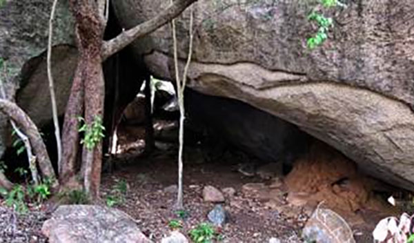 අපේකම යනු කුමක්ද? – බැසිල් ප‍්‍රනාන්දු