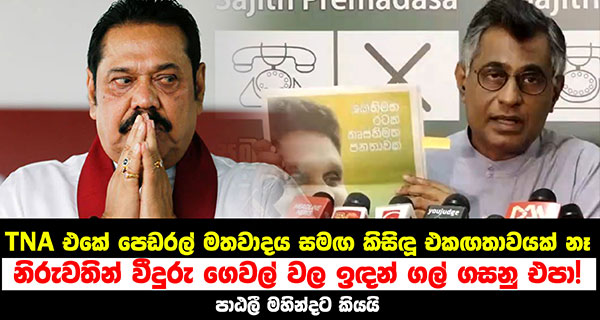 “නිරුවතින් හිඳ වීදුරු ගෙවල් වල ඉඳන් ගල් ගසනු එපා!” – පාඨලී මහින්දට කියයි