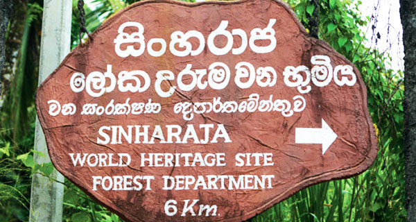 රැවුලයි කැඳයි දෙකම බේරගමු!