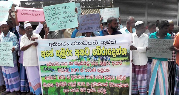 පුලතිසිපුර හරිත වන වියන සුරකින විරුවන්ගේ කථාව!