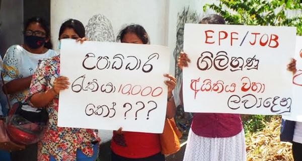 EPF එකේ නම සඳහන් කියලා, උපාධිධාරීන්ට රැකියා අහිමි වෙලා!