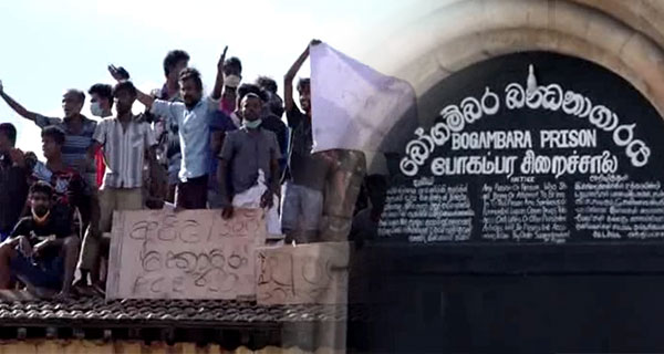 කොරෝනා පොකුරක බිය බෝගම්බරටත්!