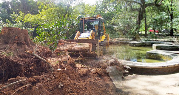 සංවර්ධන බිල්ලට හසු වූ කුරුණෑගල රජ පිහිල්ල උද්‍යානය!