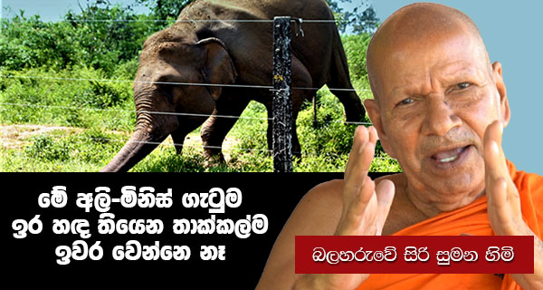 මේ අලි මිනිස් ගැටුම ඉර හඳ තියෙන තාක්කල් ම ඉවර වෙන්නෙ නෑ – බලහරුවේ සිරිසුමන හිමි