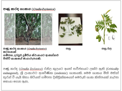 forest department of sri lanka