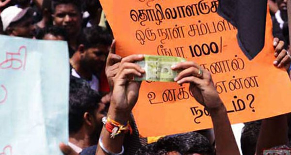 වතු කම්කරුවන්ගේ සටන ජයගනියි!