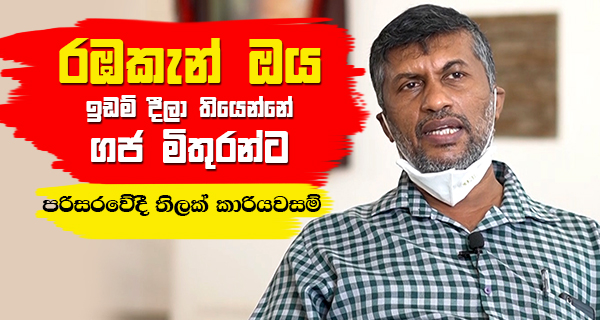 රඹකැන් ඔය ඉඩම් දීලා තියෙන්නේ ගජ මිතුරන්ට – පරිසරවේදී තිලක් කාරියවසම්