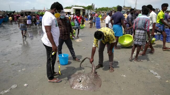 South Indian fishermen stranded by fire on Express Pearl