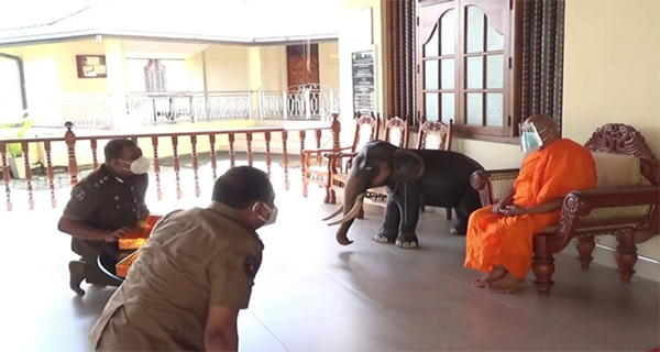 දේශබන්දුලාගේ රැකියා බේරා ගැනීමේ කන්නලව්ව !