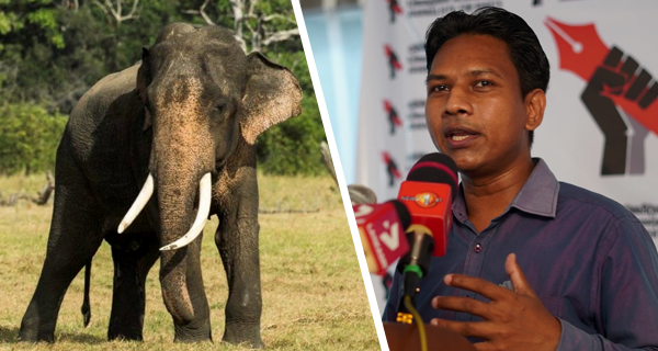 Elephant trafficking in sri lanka Sajeewa Chamikara