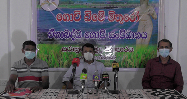 වී මිල ගැන ආණ්ඩුවේ තනි තීරණයට ගොවින්ගේ විරෝධය !