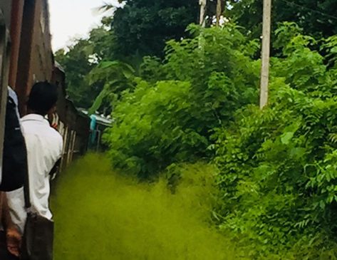 Informal public transport in Sri Lanka