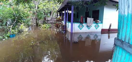 Talaimannar affected by floods