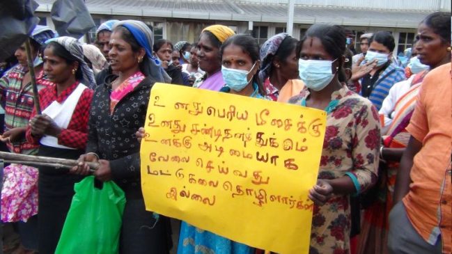 Plantation workers protest against Rs. 1,000 cut