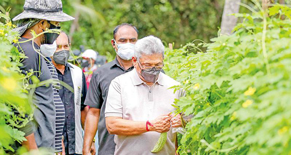 මං මේ කියන එක වැරදිද?