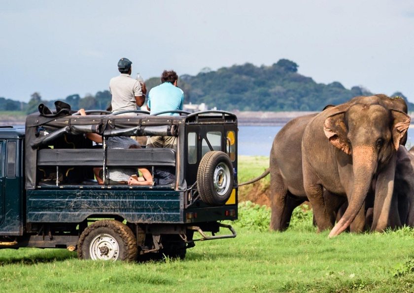 යාල 6 වැනි කළාපය අද සිට විවෘතයි