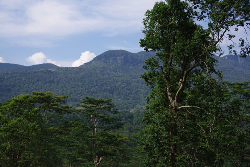 සිංහරාජෙ පෞද්ගලික ඉඩම් 300ක් රජයට