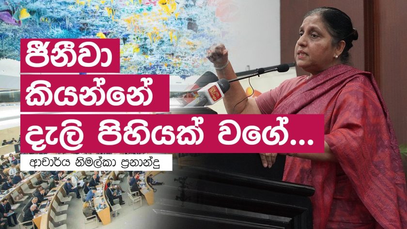 ජීනීවා කියන්නේ දැලි පිහියක් වගේ