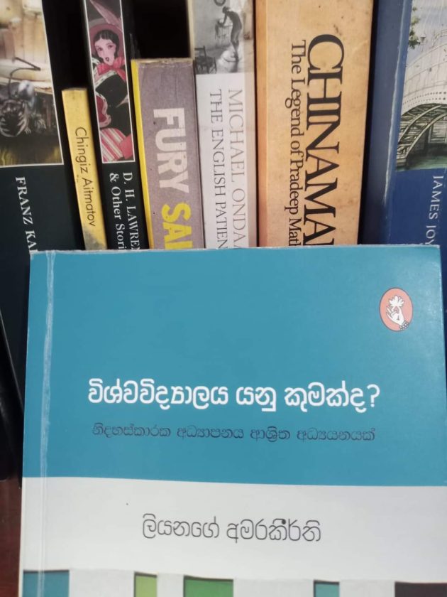 සමාජ විපර්යකාරක භූමිකාව, මහා සමාජය සහ විශ්වවිද්‍යාලය යනු කුමක්ද?