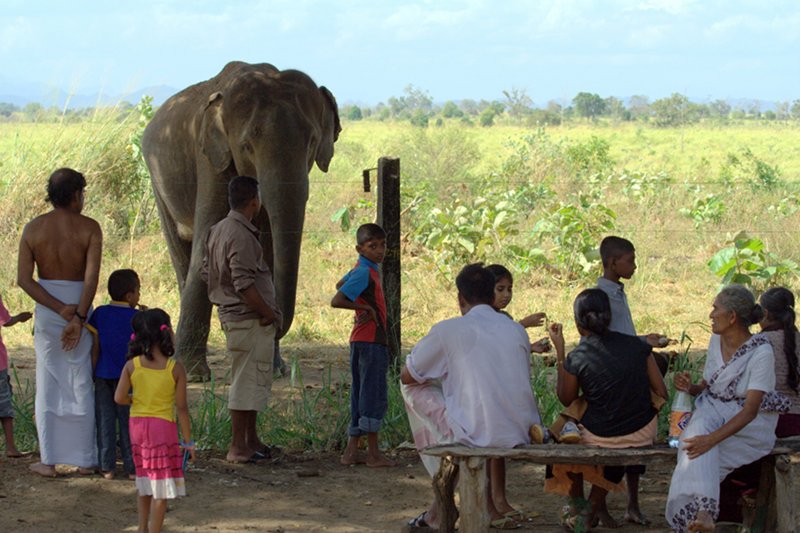 උඩදියළුම අලි කෙලිල්ල සහ බඩකඩිත්තු අධ්යාපනය…!