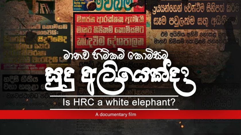 මානව හිමිකම් කොමිසම සුදු අලියෙක්ද?