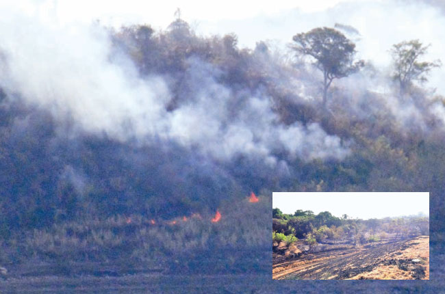 මොරගහකන්ද ජලාශයේ නැරඹුම් මධ්යස්ථානය අසල ආරක්ෂිත කඳුවල ගින්නක්