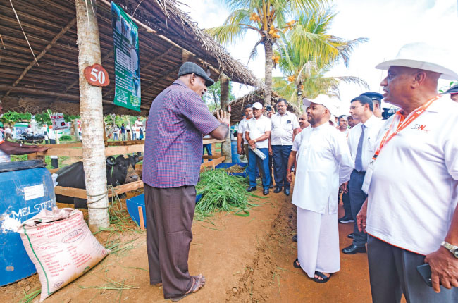 තවමත් අප රටට ගැළපෙන පශු සම්පත් සංවර්ධන සැලසුමක් නෑ!