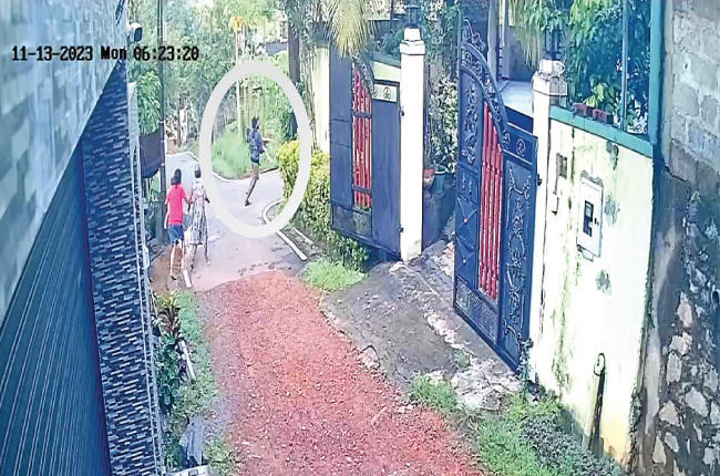 හොරණ ගෝනපොල නිවෙසක ත්රාසජනක සිදුවීමක්…