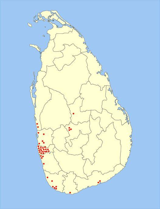 ශ්රී ලංකා ක්රිකට් හා සමාජවාදය