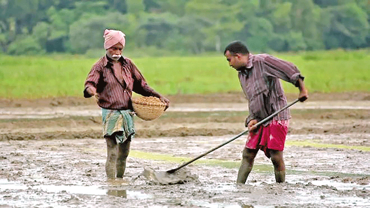 වගා හානි සඳහා රක්ෂණ මණ්ඩලයෙන් වන්දි
