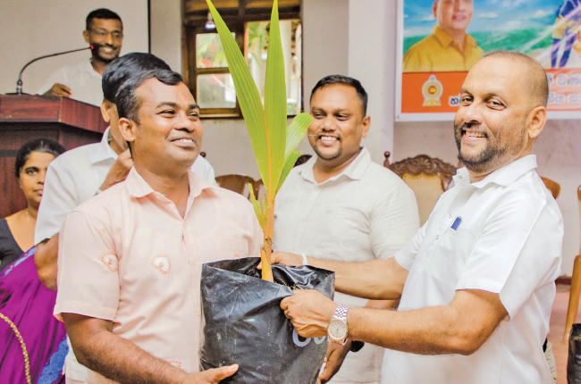මෙරට පළමු තැඹිලි ගම මුරු­ත­වෙල ඉහළ ගම්මා­නය…