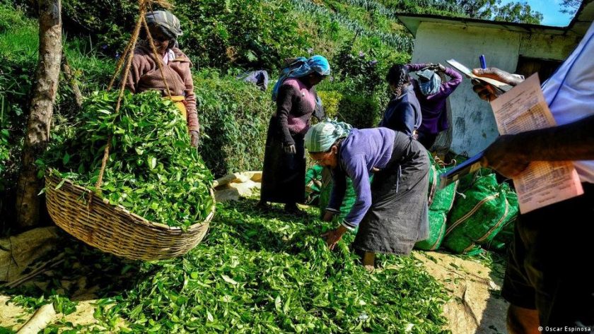 වතු වල සේවය කරන ජනතාව හෙට සිට වර්ජනයක…