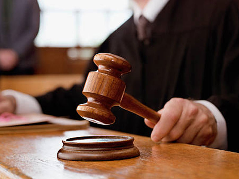 වනජීවී භාරයට ගත් ආනයනික පක්ෂීන් මුදා හරින්න – අභියාචනාධිකරණයෙන් නියෝගයක්
