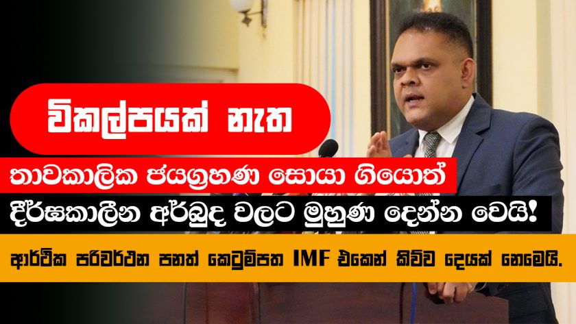 shehan semasinghe IMF