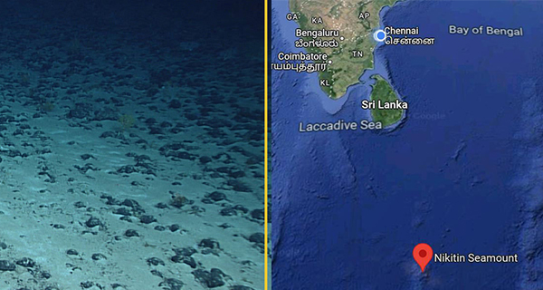 Cobalt deposits in the Indian Ocean