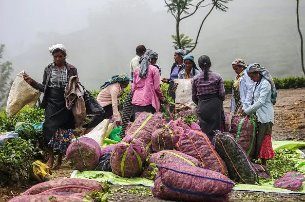1700ක වතු කම්කරු වැටුප යථාර්ථයක් වෙයි ද?