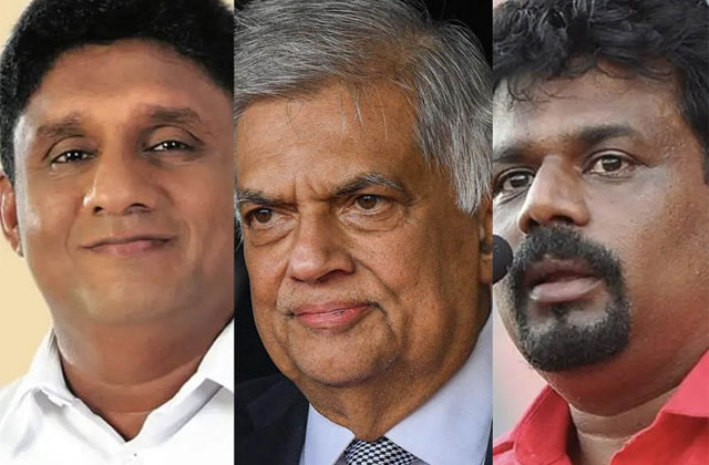 අන්නාසි සමීක්ෂණ හා සාරවිට නිරීක්ෂණ – ආචාර්ය උදන් ප්‍රනාන්දු