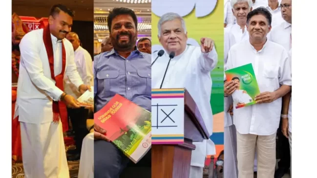 Manifestos of Presidential Candidates 2024 presidential election